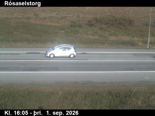 rosaselstorg_2-1788285941.jpg