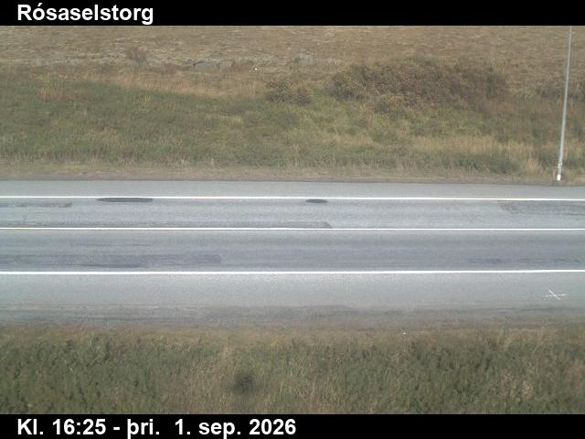 rosaselstorg_2-1788287171.jpg