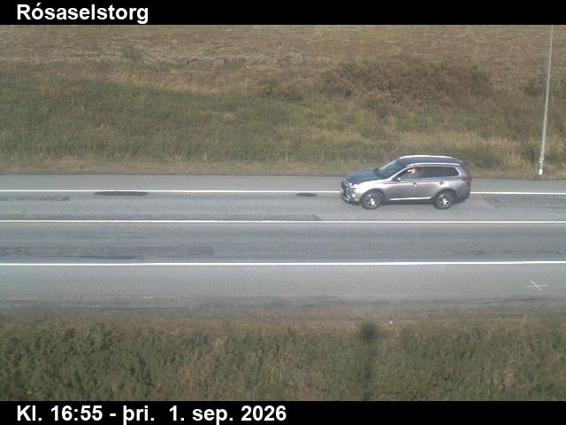 rosaselstorg_2-1788289295.jpg