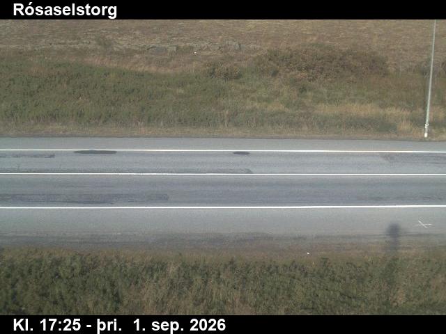 rosaselstorg_2-1788290734.jpg