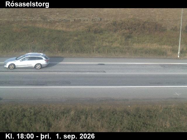 rosaselstorg_2-1788292927.jpg