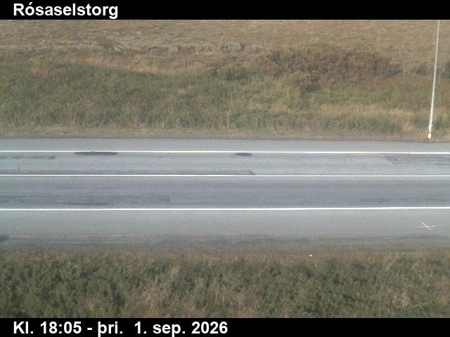rosaselstorg_2-1788293163.jpg