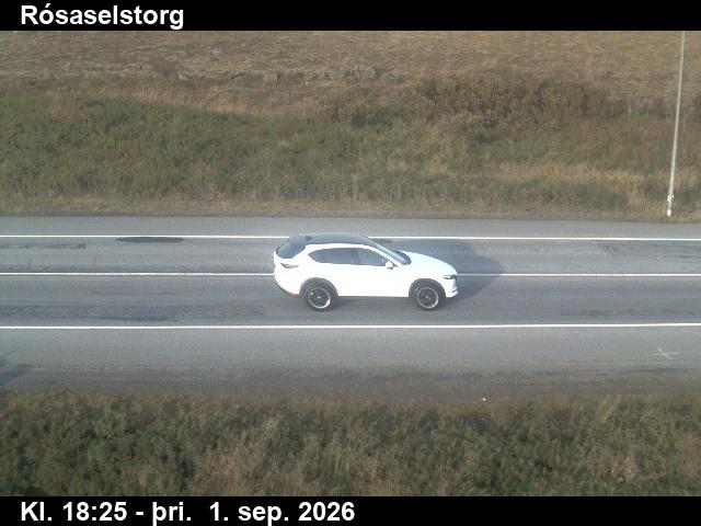 rosaselstorg_2-1788294353.jpg