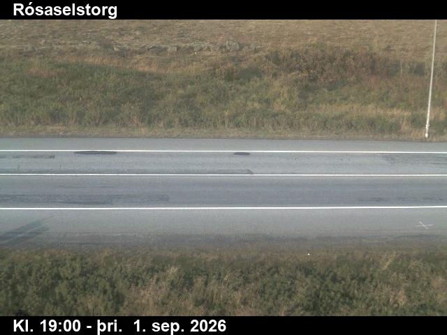 rosaselstorg_2-1788296462.jpg