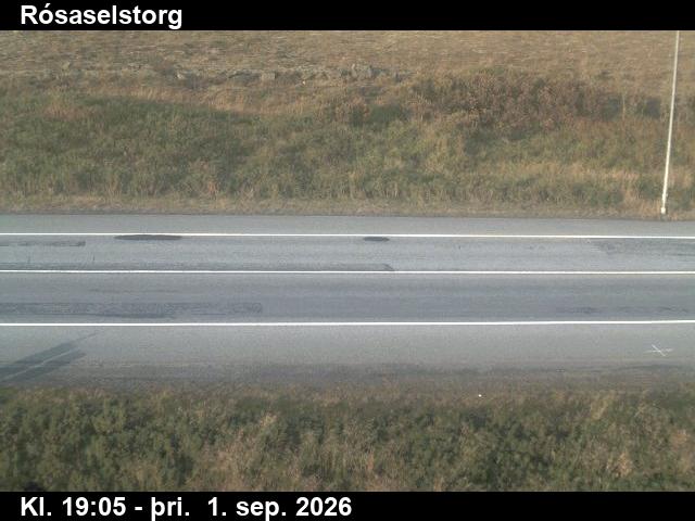 rosaselstorg_2-1788296761.jpg