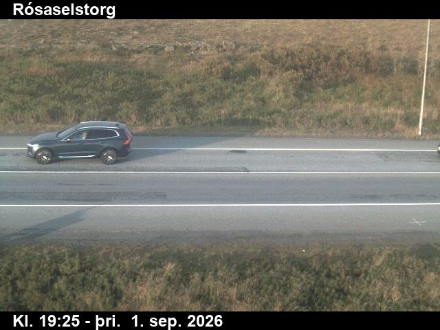 rosaselstorg_2-1788297949.jpg