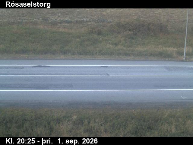 rosaselstorg_2-1788301577.jpg
