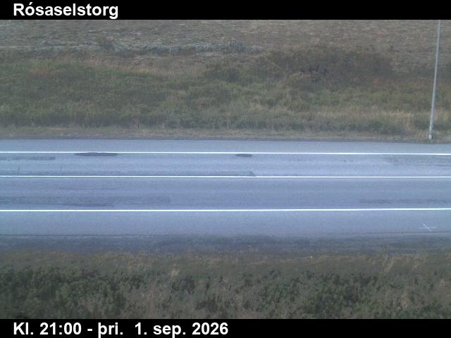 rosaselstorg_2-1788303940.jpg