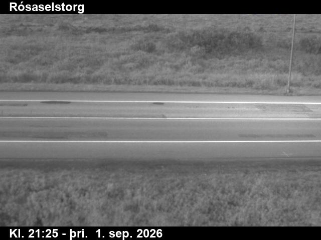 rosaselstorg_2-1788305134.jpg