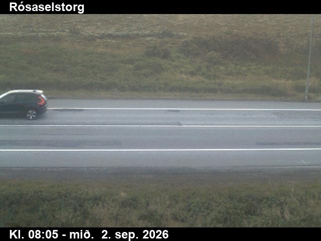 rosaselstorg_2-1788343613.jpg