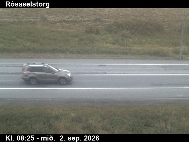 rosaselstorg_2-1788344791.jpg