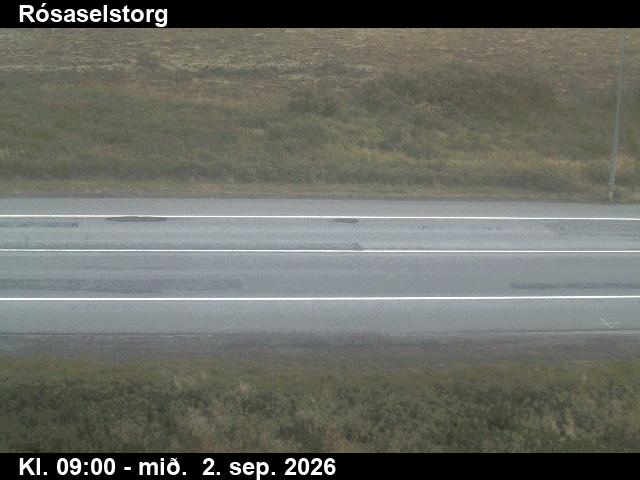 rosaselstorg_2-1788346938.jpg