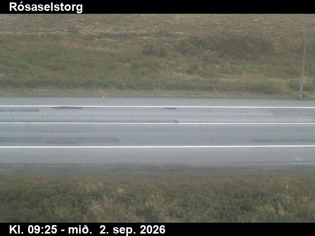 rosaselstorg_2-1788348359.jpg