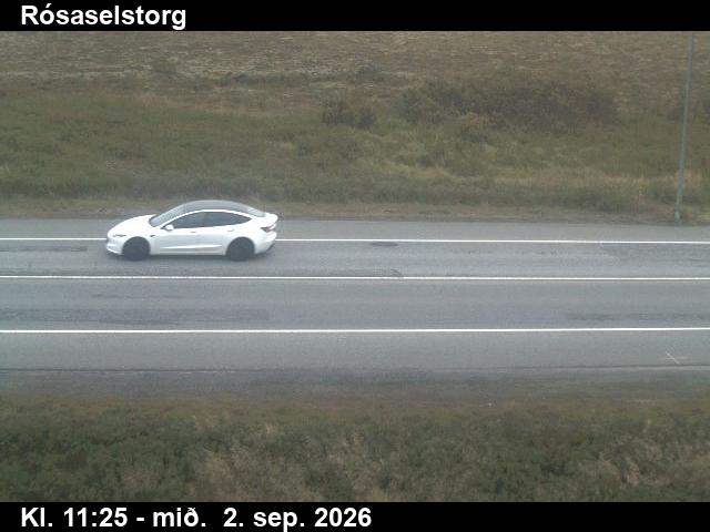 rosaselstorg_2-1788355532.jpg