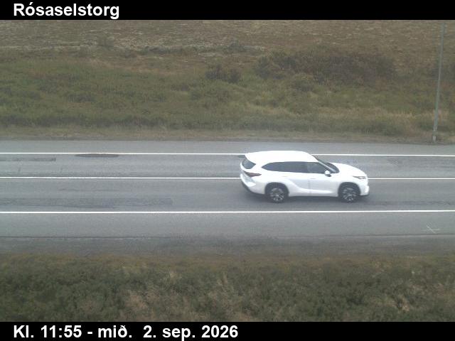 rosaselstorg_2-1788357669.jpg
