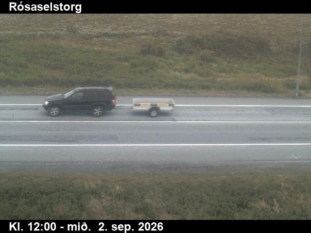 rosaselstorg_2-1788357710.jpg