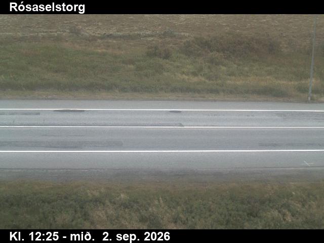 rosaselstorg_2-1788359127.jpg