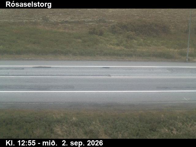 rosaselstorg_2-1788361267.jpg