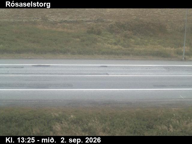 rosaselstorg_2-1788362781.jpg