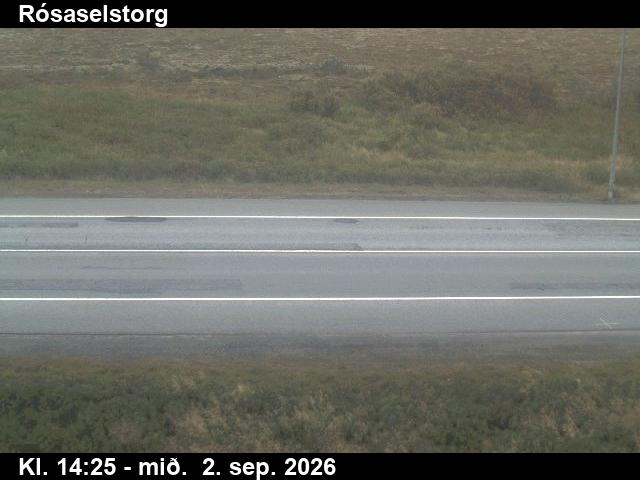 rosaselstorg_2-1788366387.jpg