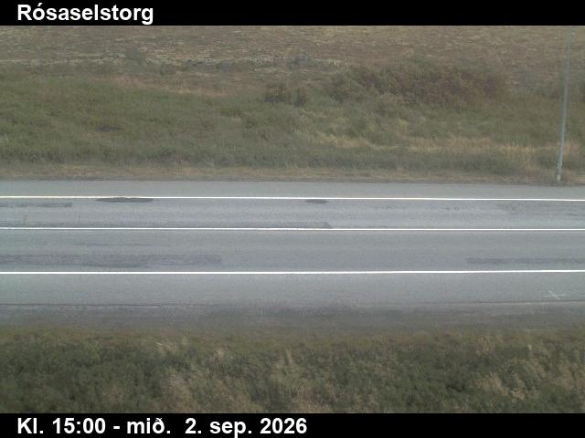 rosaselstorg_2-1788368482.jpg