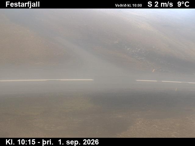 festarfjall_3-1788265565.jpg