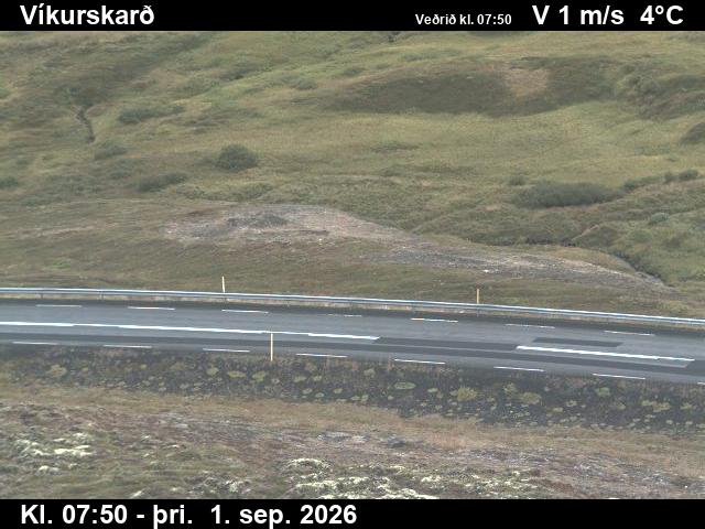 vikurskard_2-1788256885.jpg