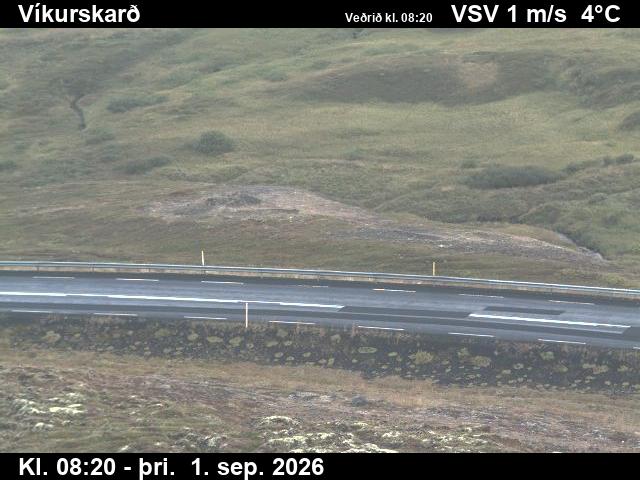 vikurskard_2-1788258490.jpg