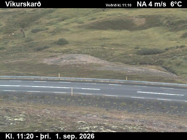 vikurskard_2-1788269150.jpg