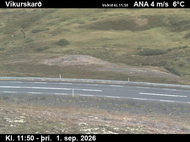 vikurskard_2-1788271248.jpg