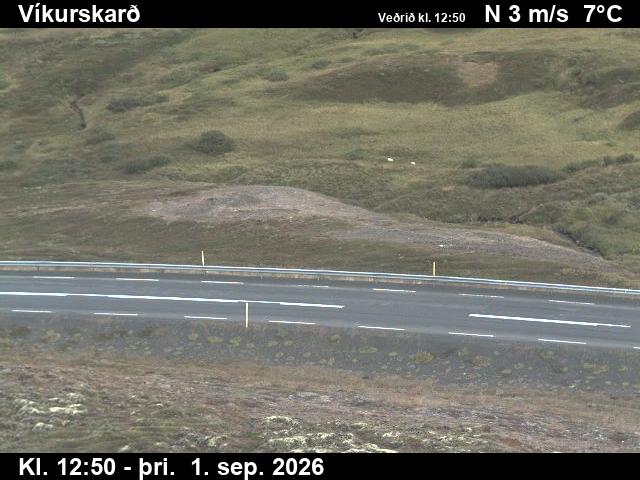 vikurskard_2-1788274866.jpg