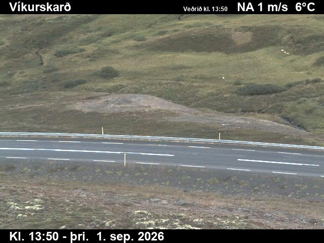 vikurskard_2-1788278555.jpg