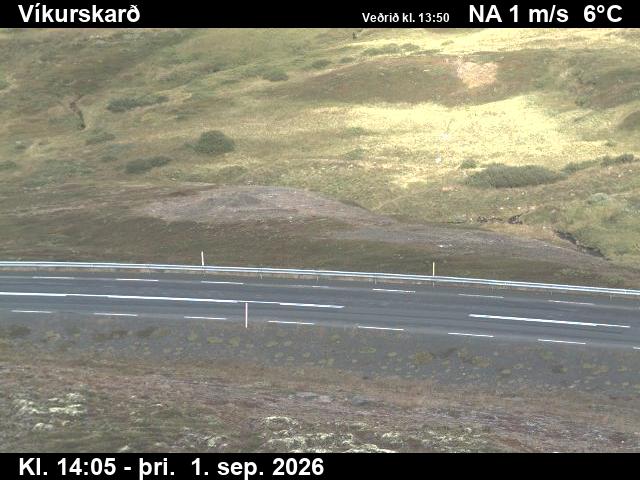 vikurskard_2-1788278763.jpg