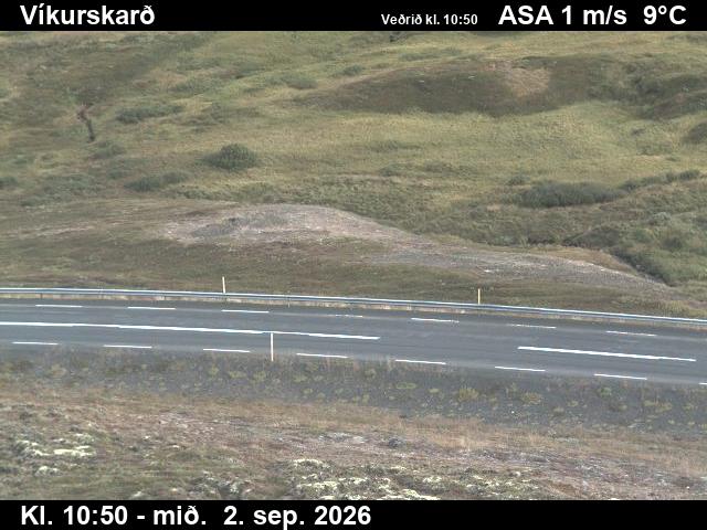 vikurskard_2-1788354189.jpg