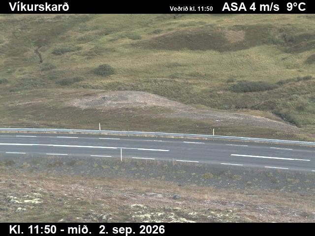 vikurskard_2-1788357709.jpg