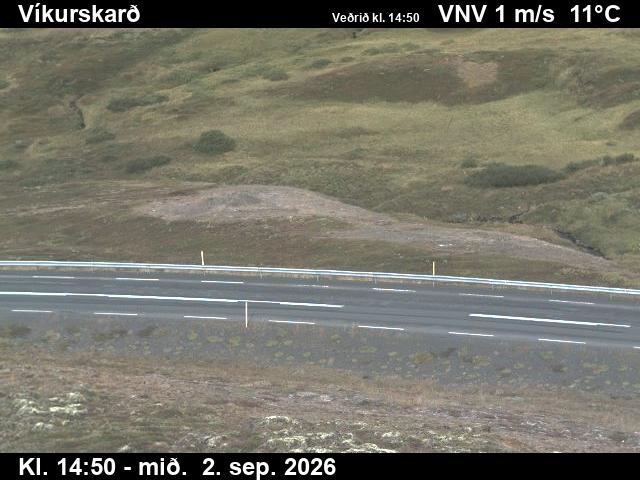 vikurskard_2-1788368452.jpg