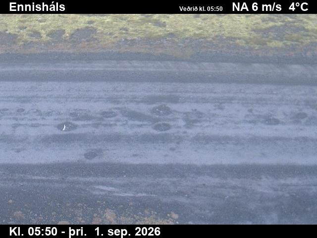 ennishals_2-1788249674.jpg