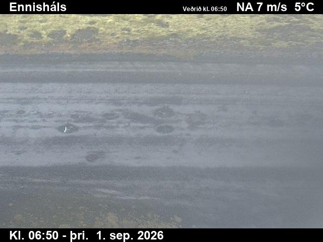 ennishals_2-1788253264.jpg