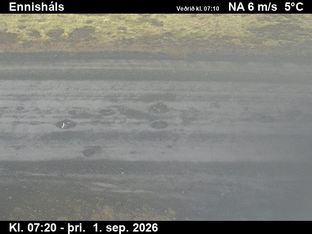 ennishals_2-1788254768.jpg
