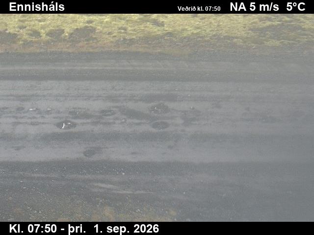 ennishals_2-1788256901.jpg