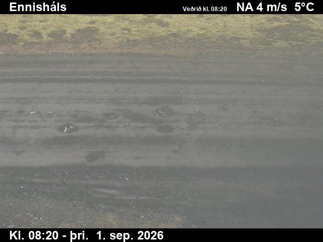 ennishals_2-1788258490.jpg