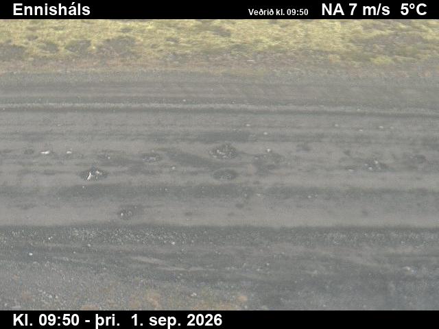 ennishals_2-1788264142.jpg