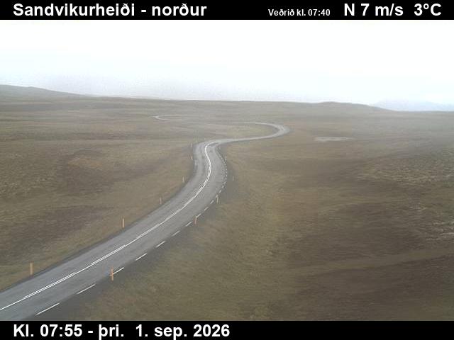 sandvikurheidi_3-1788256901.jpg