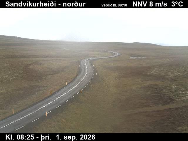 sandvikurheidi_3-1788258490.jpg