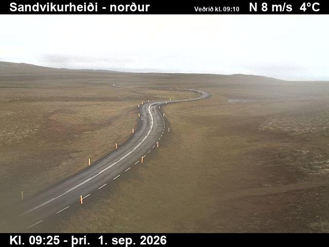 sandvikurheidi_3-1788261935.jpg