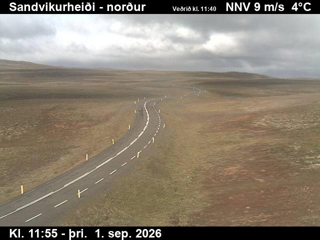 sandvikurheidi_3-1788271230.jpg