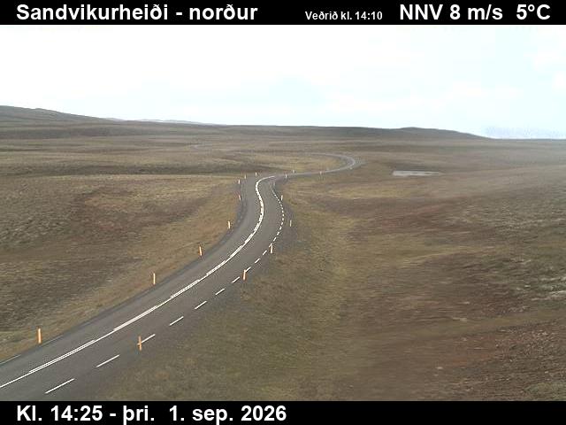 sandvikurheidi_3-1788279955.jpg