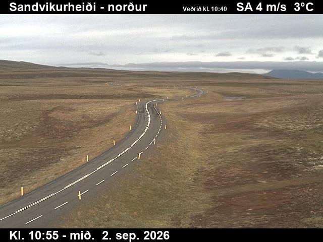 sandvikurheidi_3-1788354080.jpg