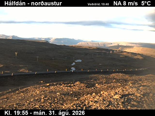 halfdan_3-1788213652.jpg