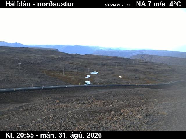 halfdan_3-1788217288.jpg